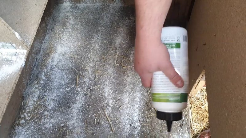 Application de la terre de diatomée