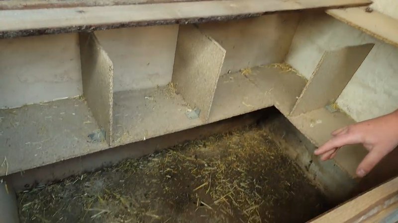 Poulailler retirer la litière