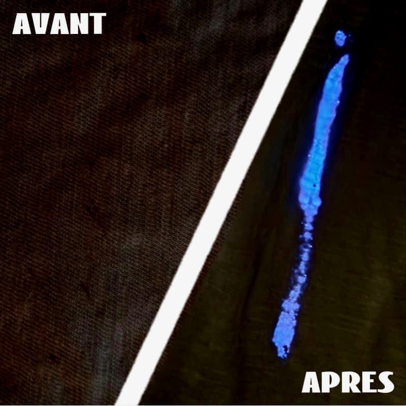 Révélation d'une trace de sang générée par une punaise de lit, grâce à INDIC PUNAISE