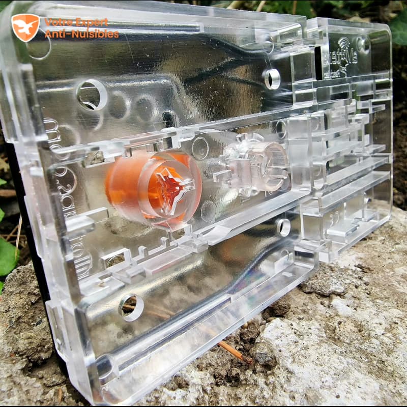 Vue du dessous de la tapette à rat transparente Gorilla Traps et aperçu de son curseur de réglage de sensibilité