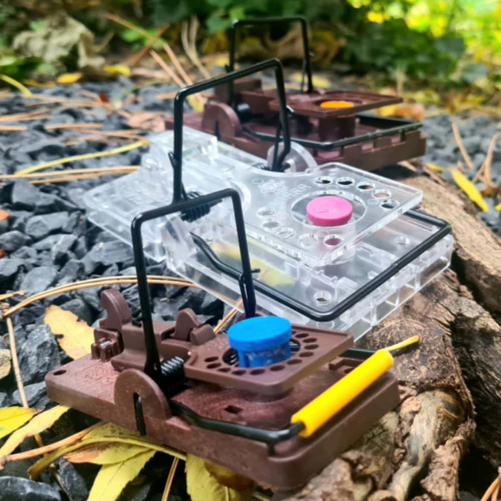 2 tapettes à rat Gorilla Traps et 1 tapette à souris Gorilla Traps avec leur appât aromatique