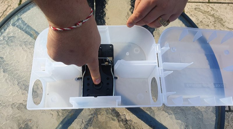 tapette-rat-plastique-securiposte