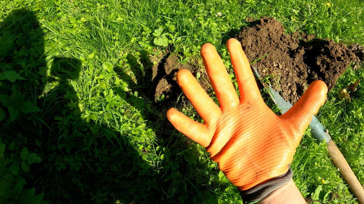 Gant de jardinage au-dessus d'une pelouse