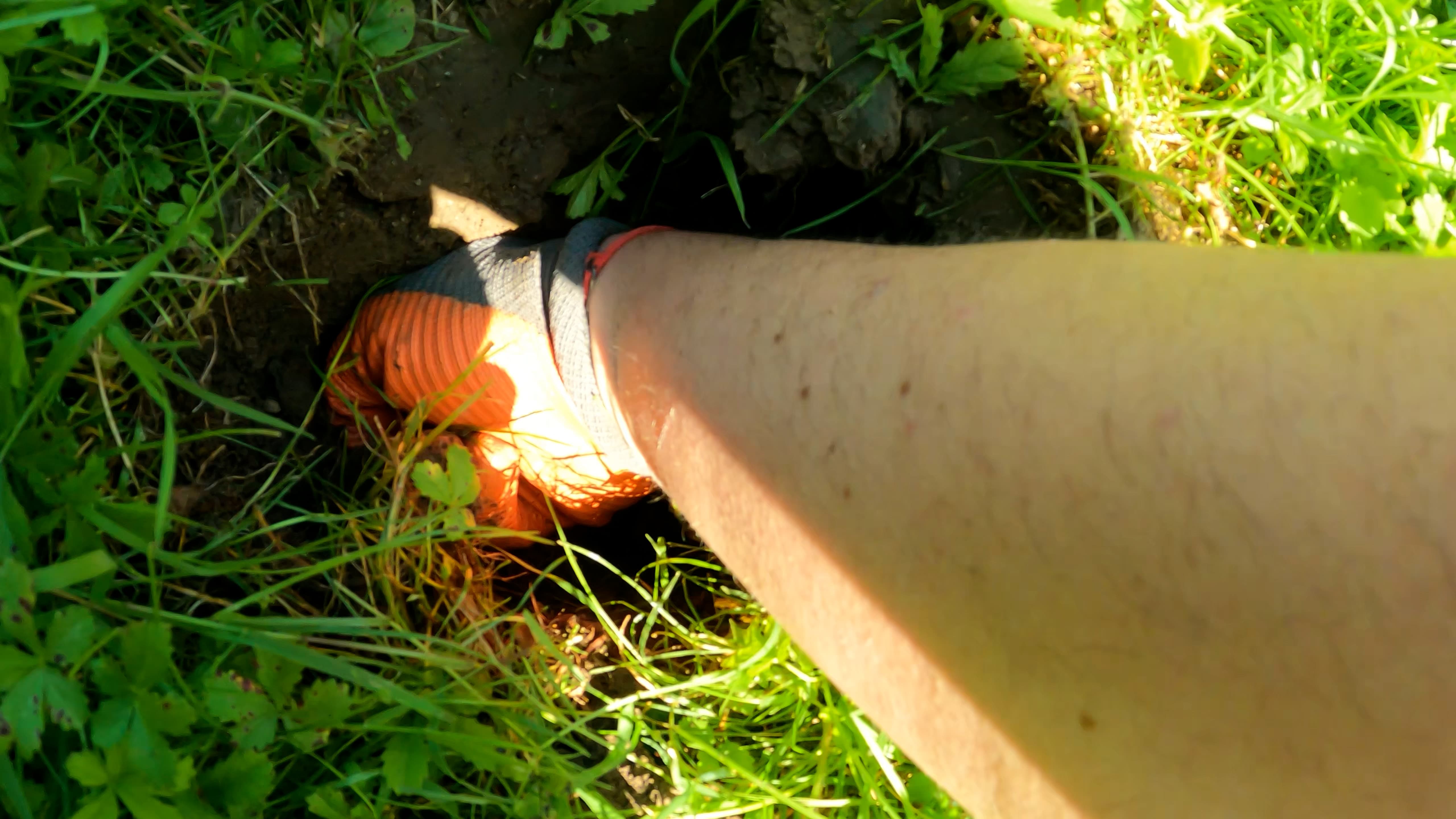 Main gantée enfouie dans le sol d'une galerie de taupe