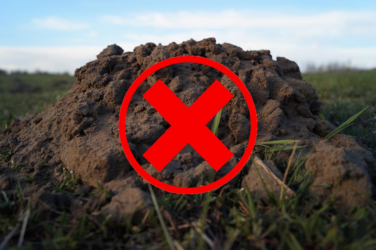 Taupinière marquée d'une croix rouge, à ne pas piéger