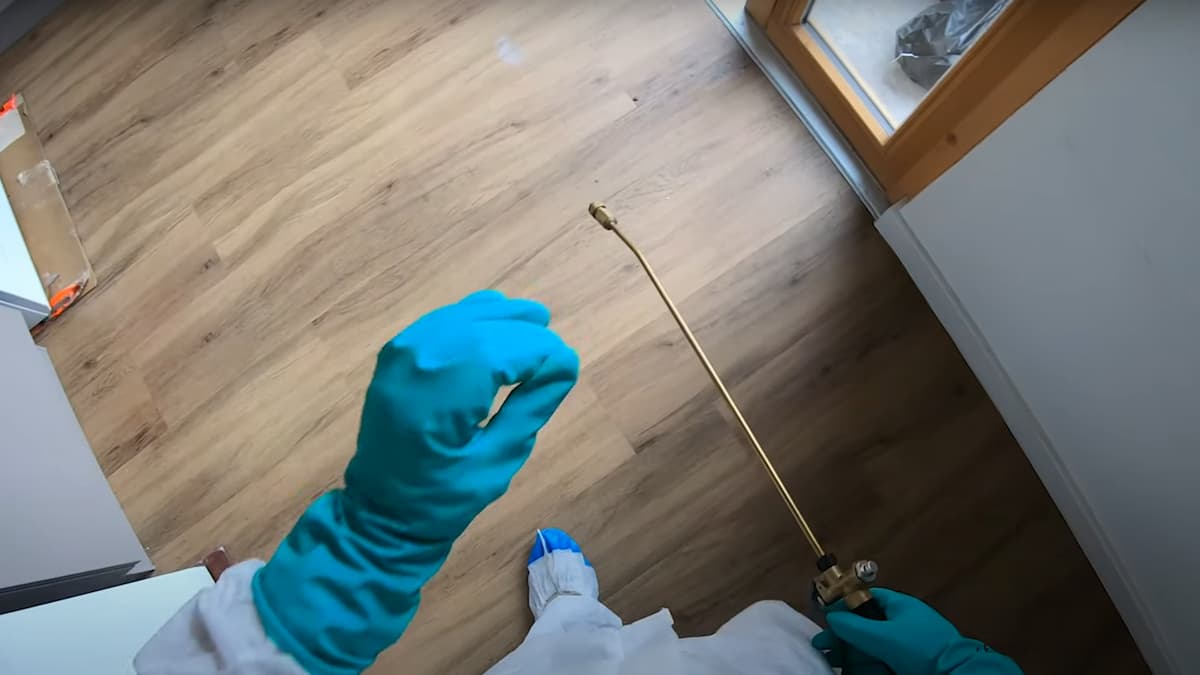 Buse de pulvérisateur insecticide et main gantée en protection 